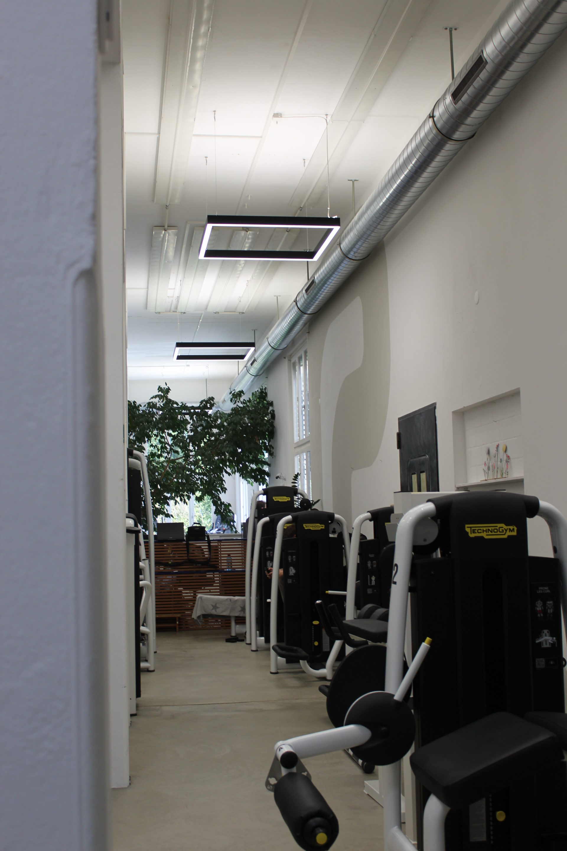 Kraftwerk ganz gesund GmbH