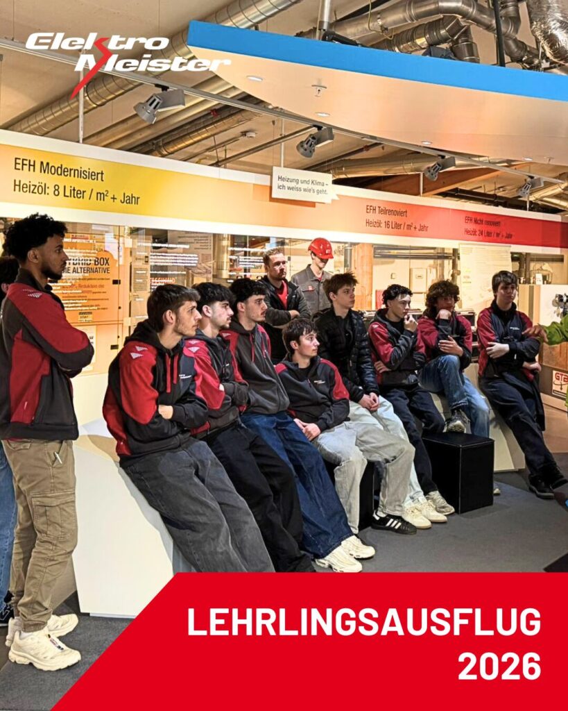 Lernende der Elektro Meister AG hören in der Umwelt Arena Schweiz aufmerksam einer Führung zu.